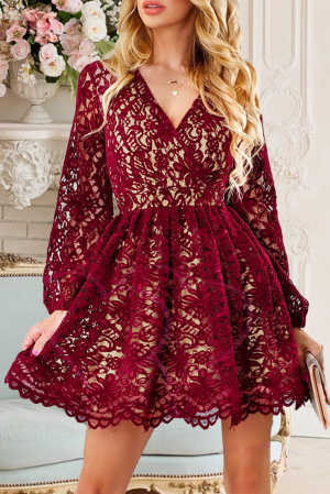 Wine Red V Neck Lace Skater Mini Dress 5aba7